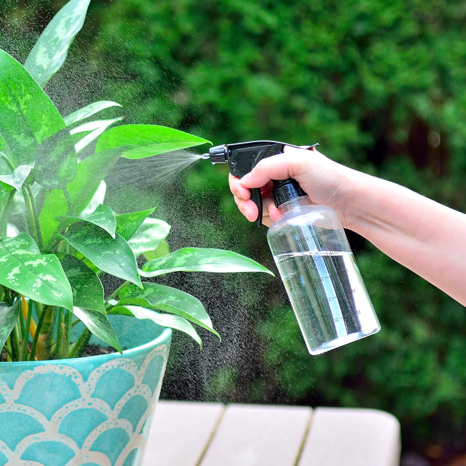 Youngever 12 Pack Empty Plastic Spray Bottles, Spray Bottles for Hair and Cleaning Solutions (8oz)