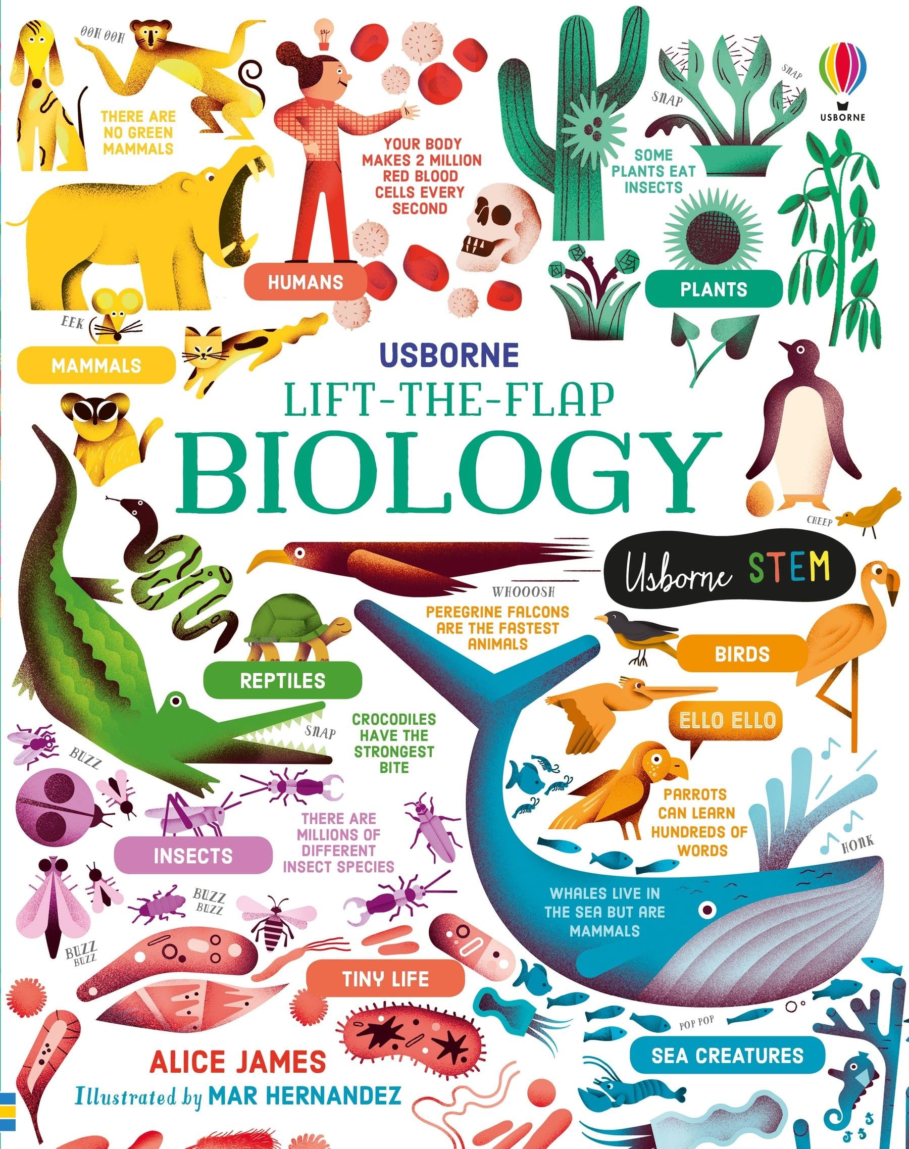 Usborne GB Lift-the-Flap Biology