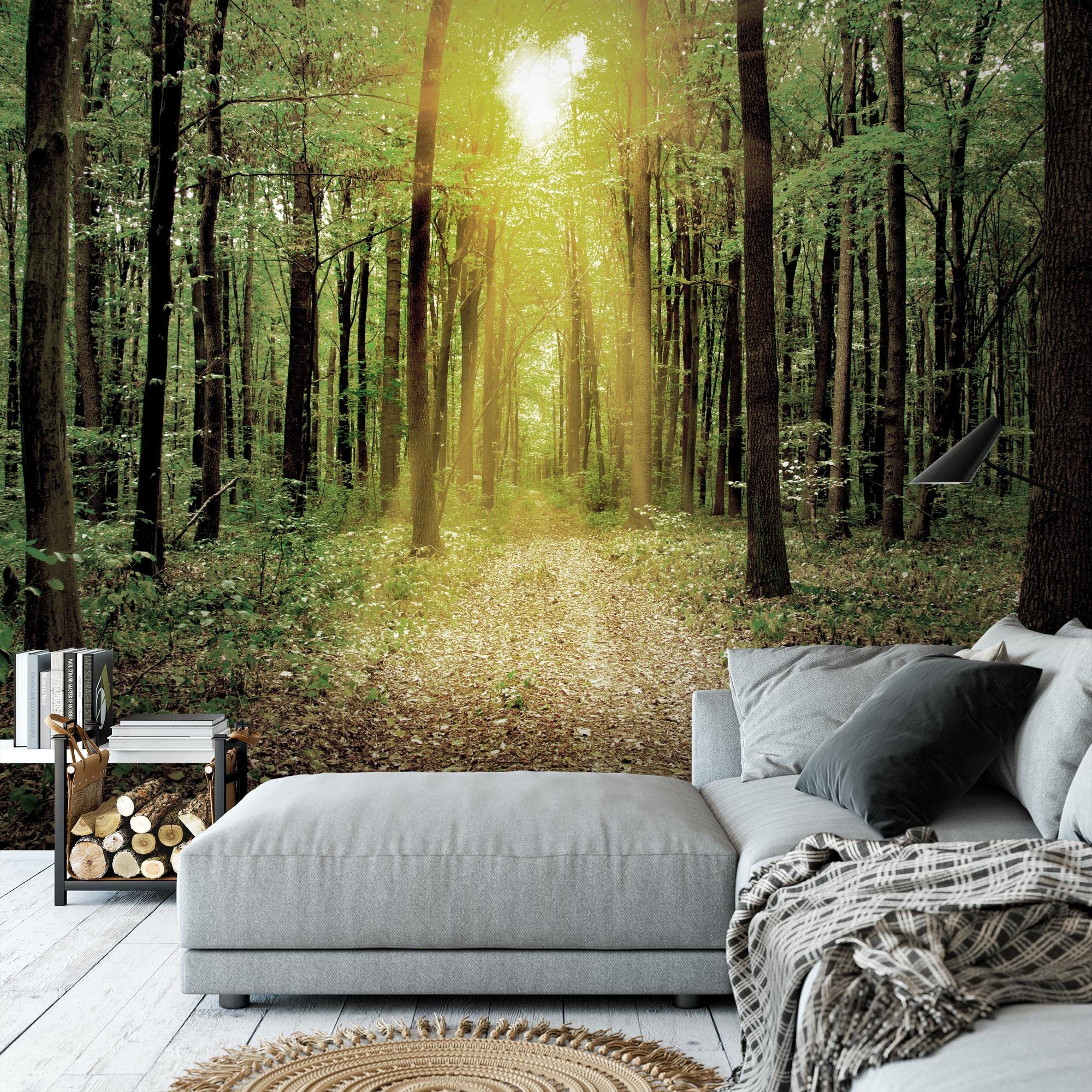 Papel Pintado Fotográfico Moderno - Diseño Bosque Y Sol, Tejido No Tejido, Fácil Instalación, Hecho En Alemania