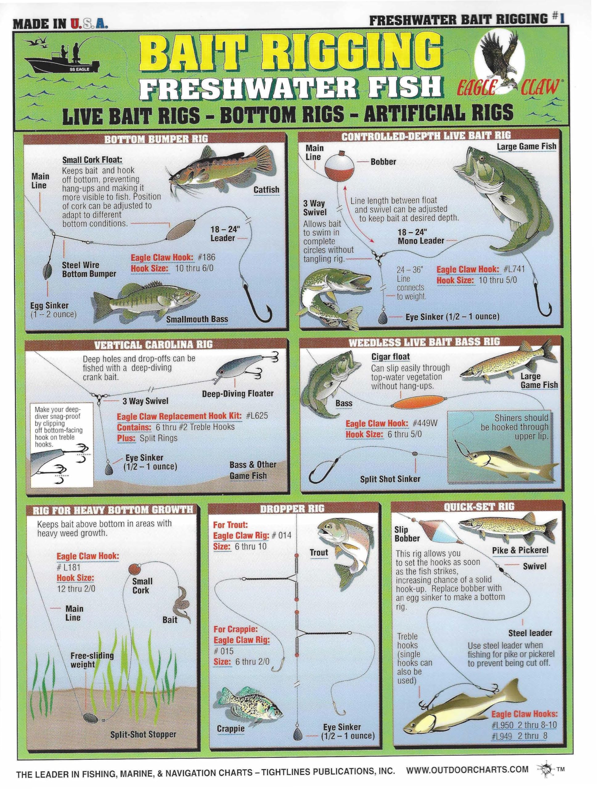 Freshwater Bait Rigging Chart #1 - Waterproof Quick Reference Fishing Guide - (Live Bait Rigs, Artificial Rigs, and Bottom Rigs) - Double-Sided & Easy