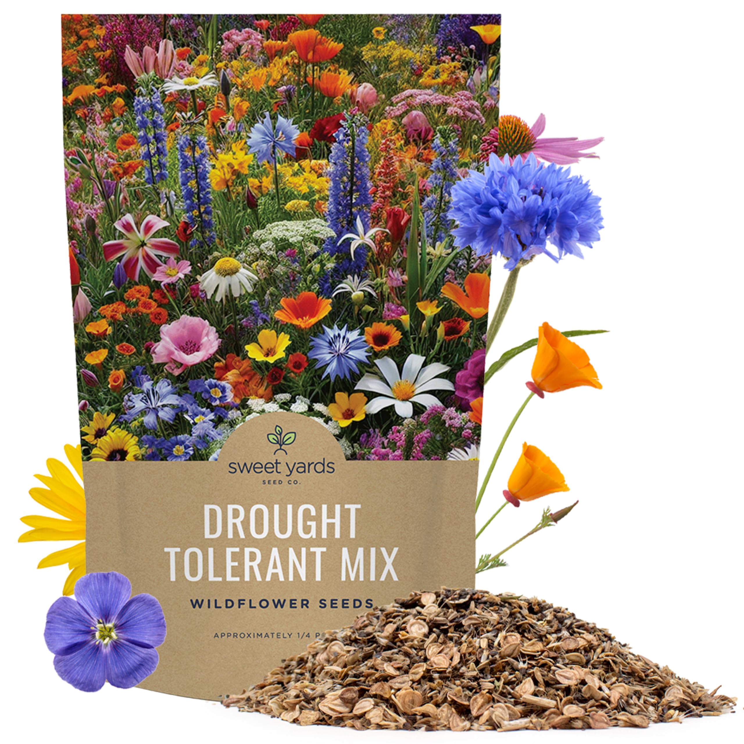 Drought Tolerant Wildflowers Mix – Bulk Quarter Pound Bag – Over 30,000 Open Pollinated Non-GMO Seeds – 21 Different Dryland Species