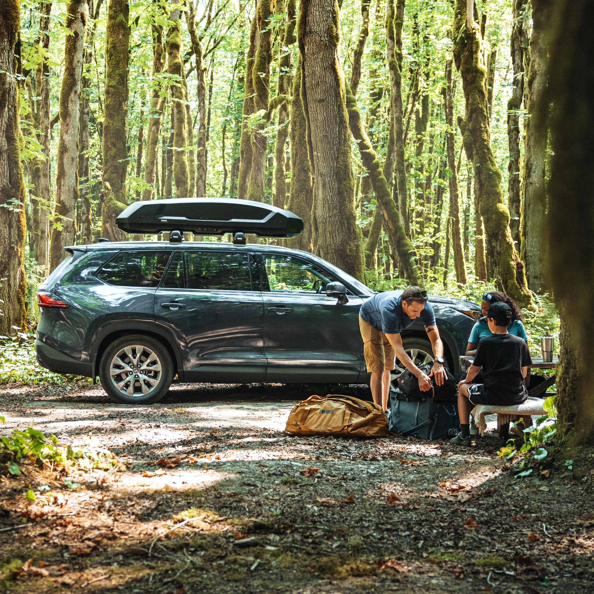 Thule Force 3 Dachbox vielseitig schwarz matt L