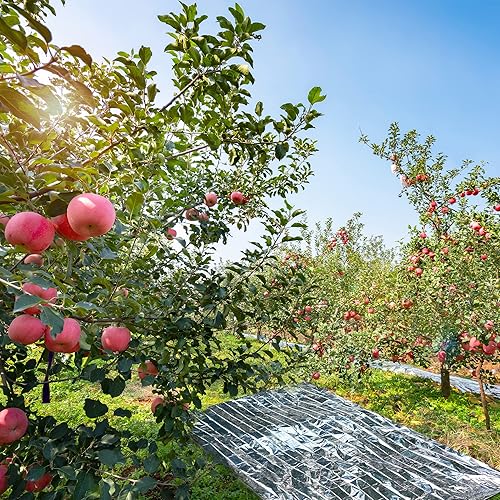 Miniatura 4 de Película de Mylar de crecimiento de plantas, película de Mylar de alta reflectancia, láminas de aluminio para cubierta de invernaderos para primeros