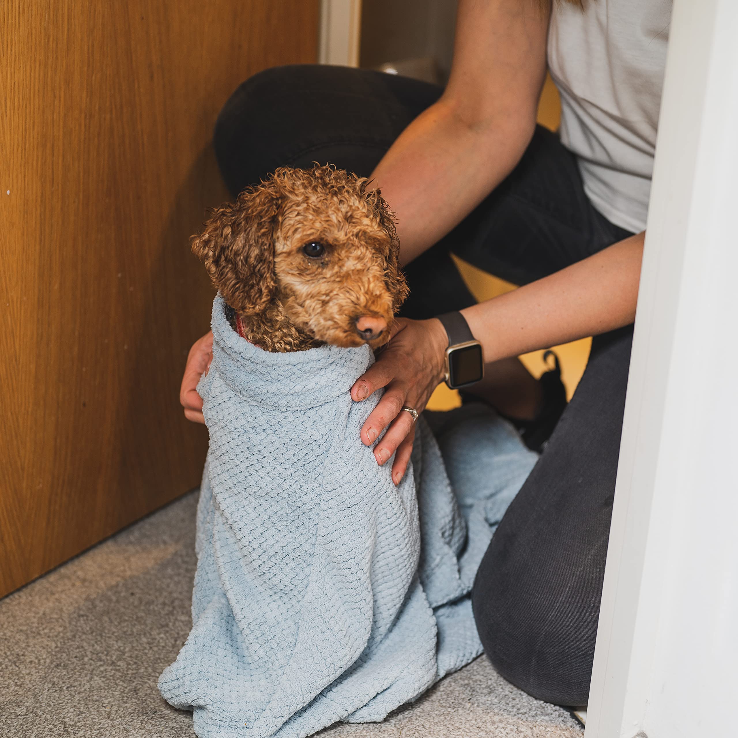 pet wiz Sac de séchage pour chien en microfibre de qualité supérieure - Super absorbant et à séchage rapide - Serviette de bain (M, bleu ciel)