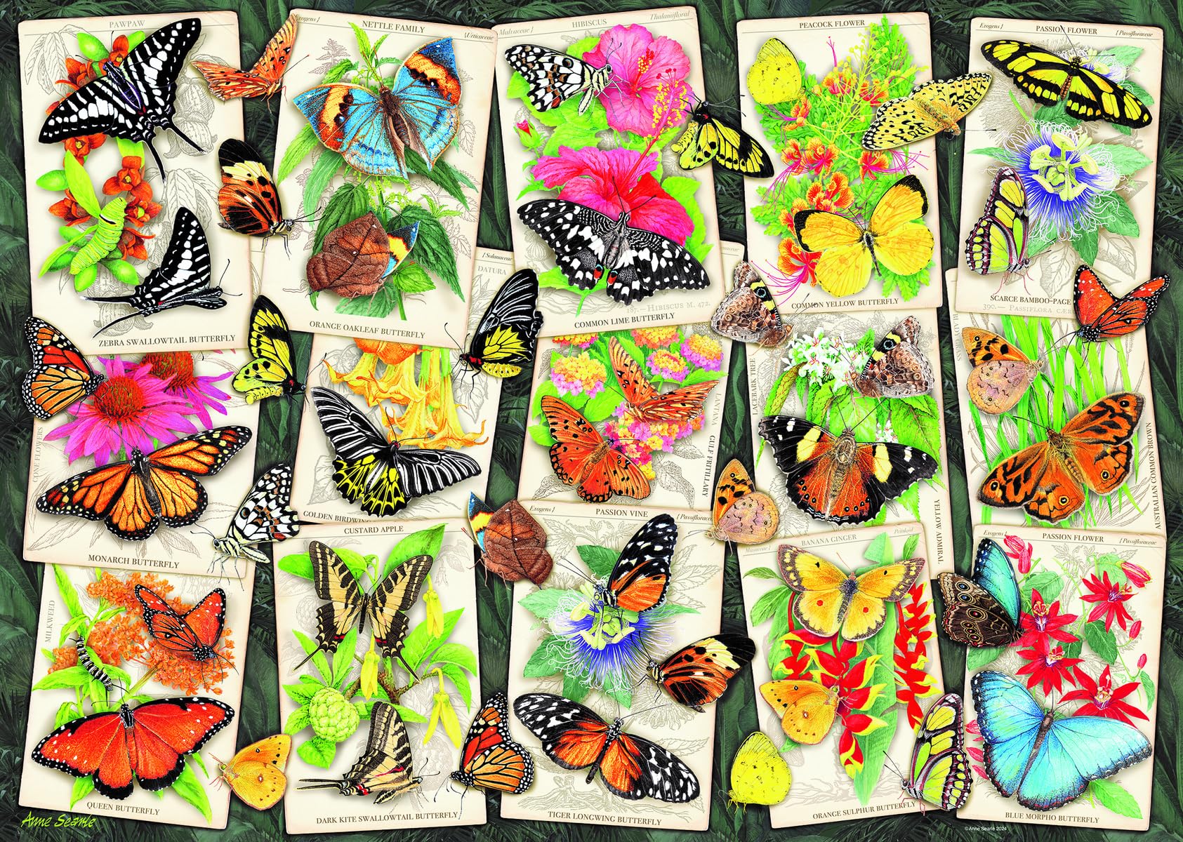 Puzzle RAVENSBURGER Tropische Schmetterlinge 1000 Teile Puzzle RAVENSBURGER Tropische Schmetterlinge 1000 Teile
