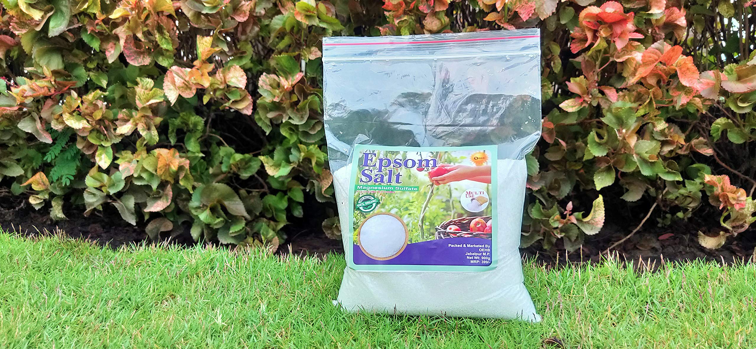 Epsom Salt Magnesium sulfate for Terrace Garden 900gm-image-47