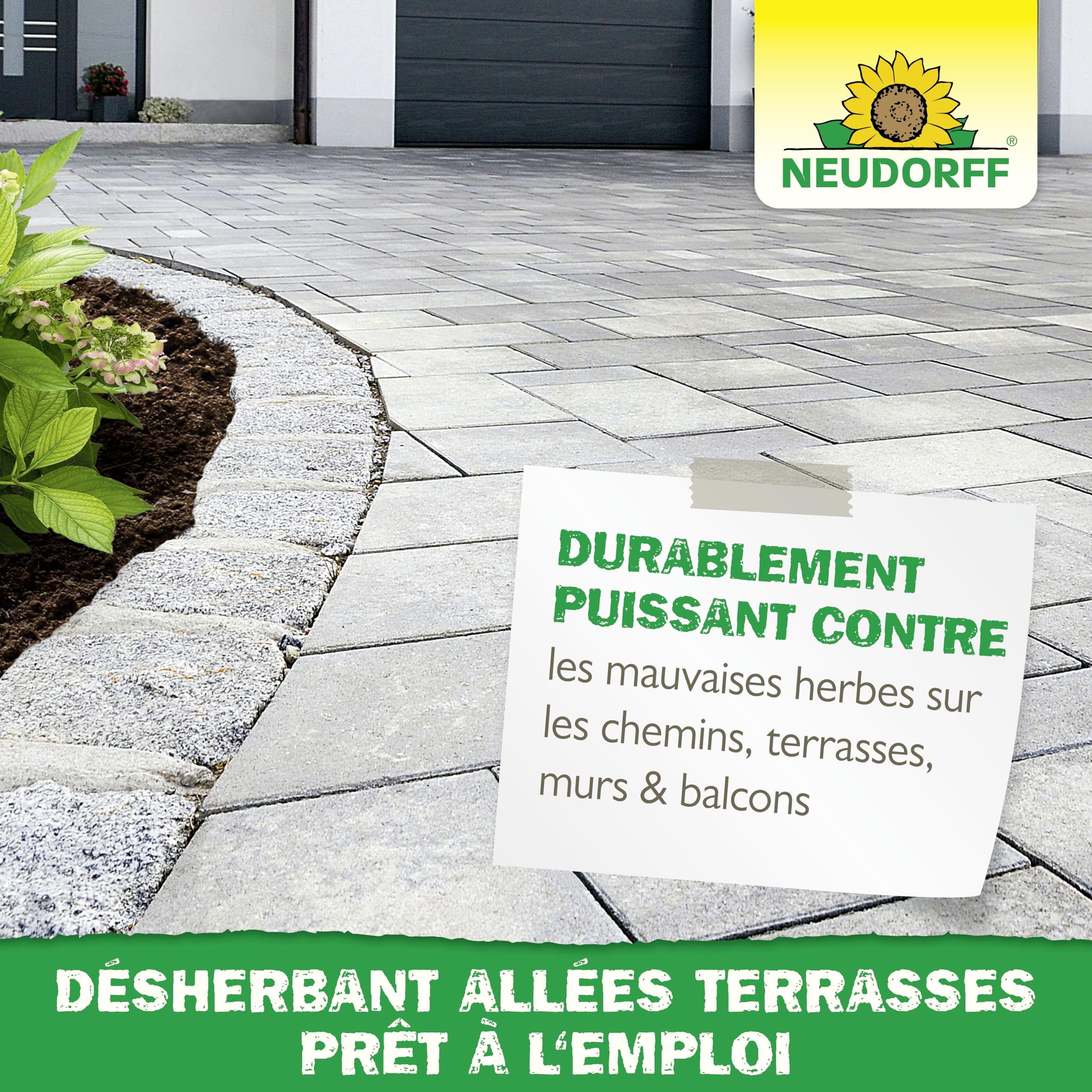 Anti-Mousse Gazon Concentré Neudorff 1L - Élimine La Mousse Rapidement, Efficace Dès 10°C