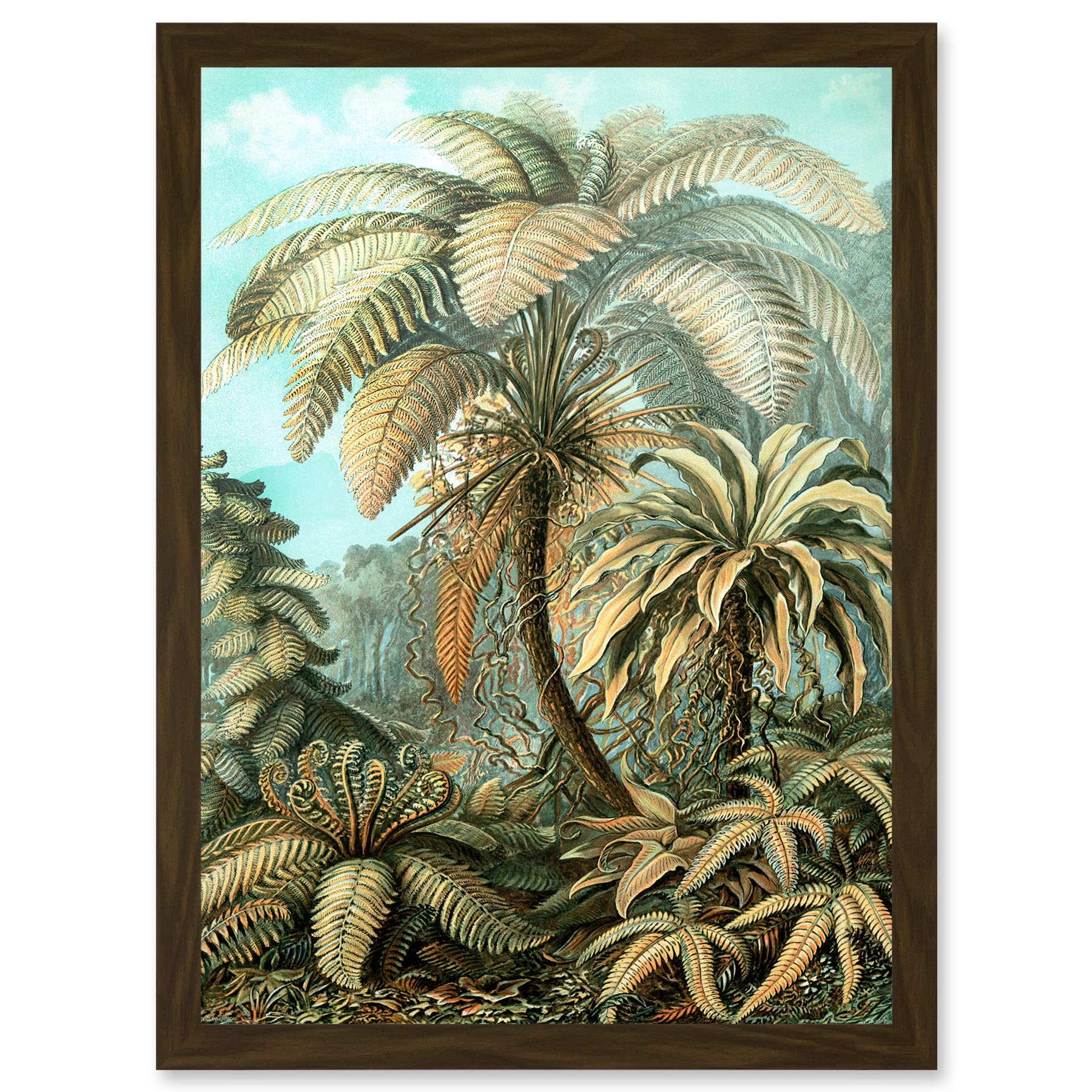 Wee Blue Coo Nature Biology Ferns Ernst Haeckel botanical Vintage Artwork Framed Wall Art Print A4