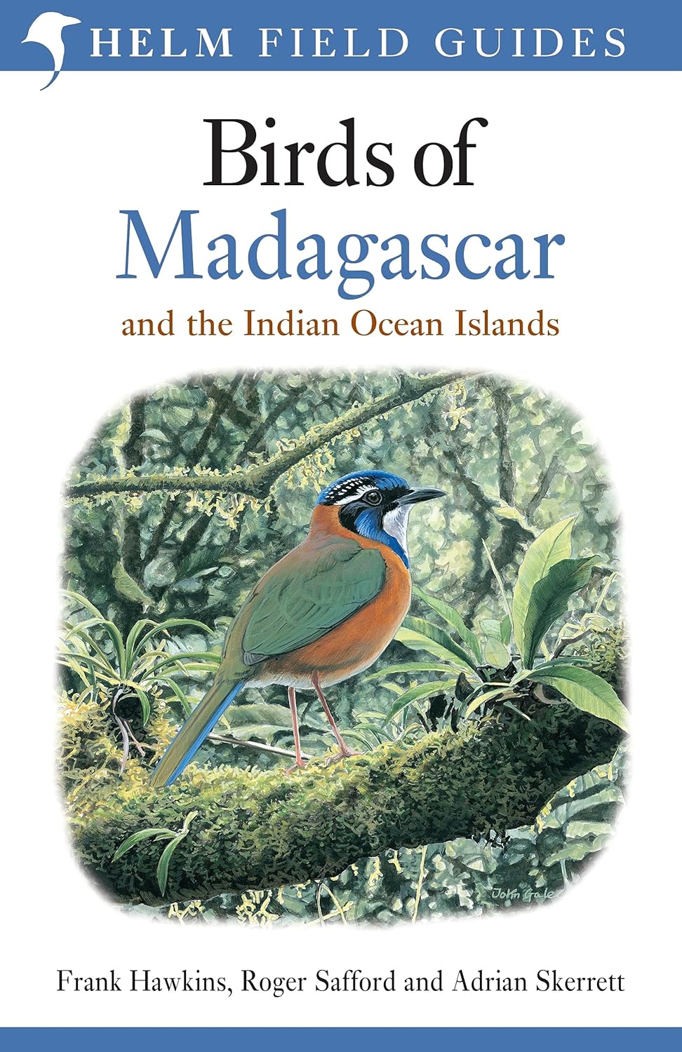 Field Guide to the Birds of Madagascar and the Indian Ocean Islands (Helm Field Guides)      Paperback – May 17, 2016