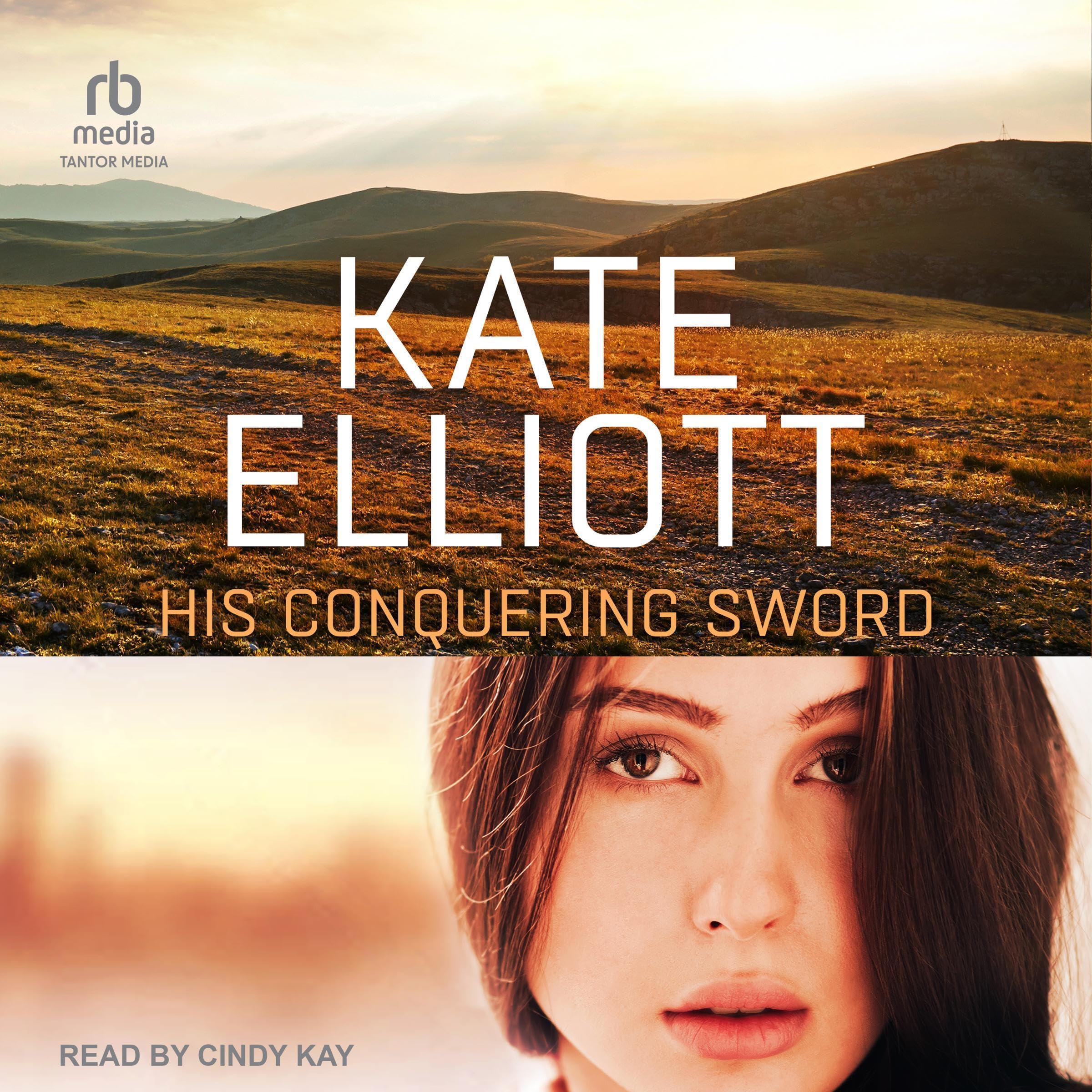 Cover art for His Conquering Sword
