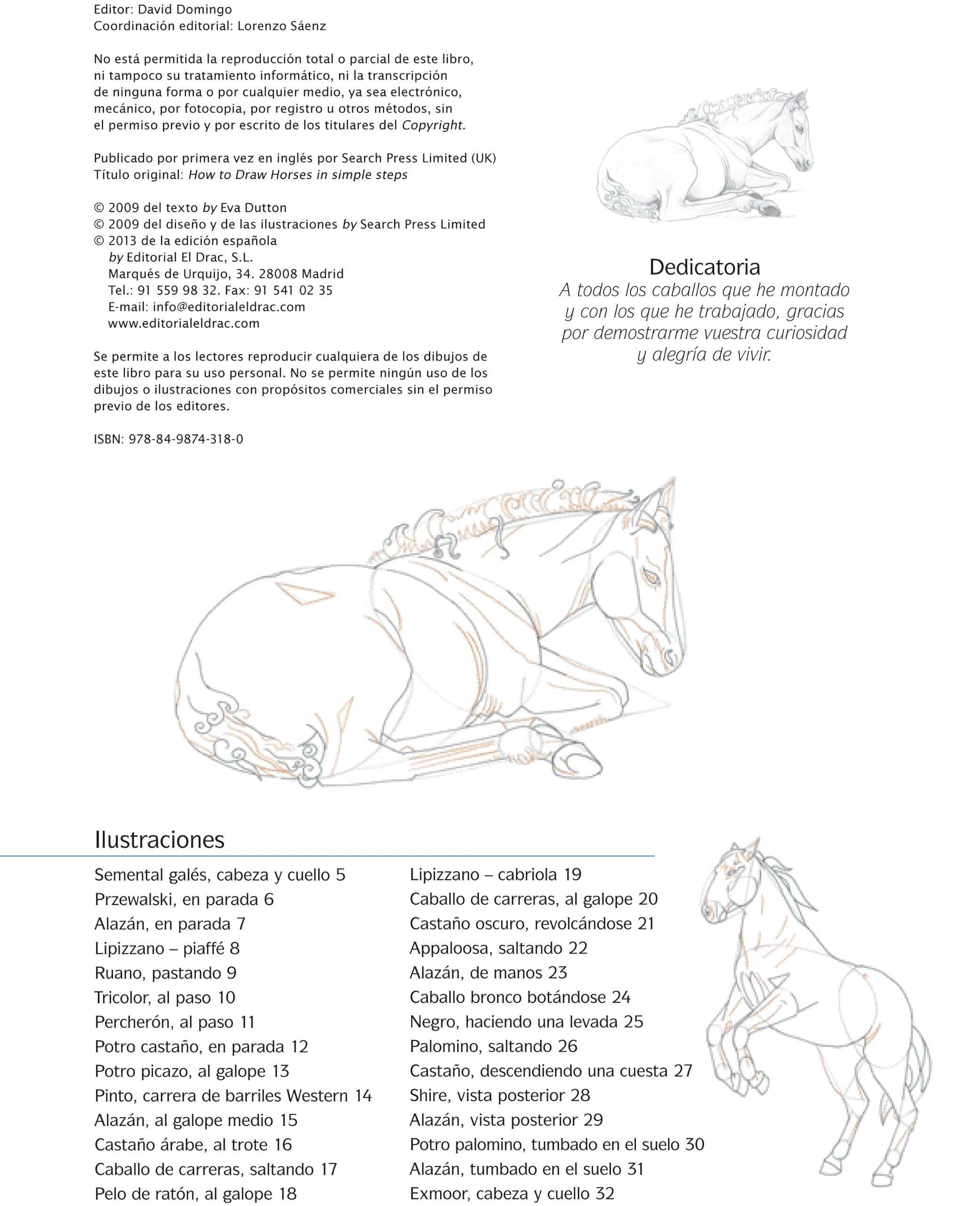 Cómo Dibujar Caballos En Sencillos Pasos