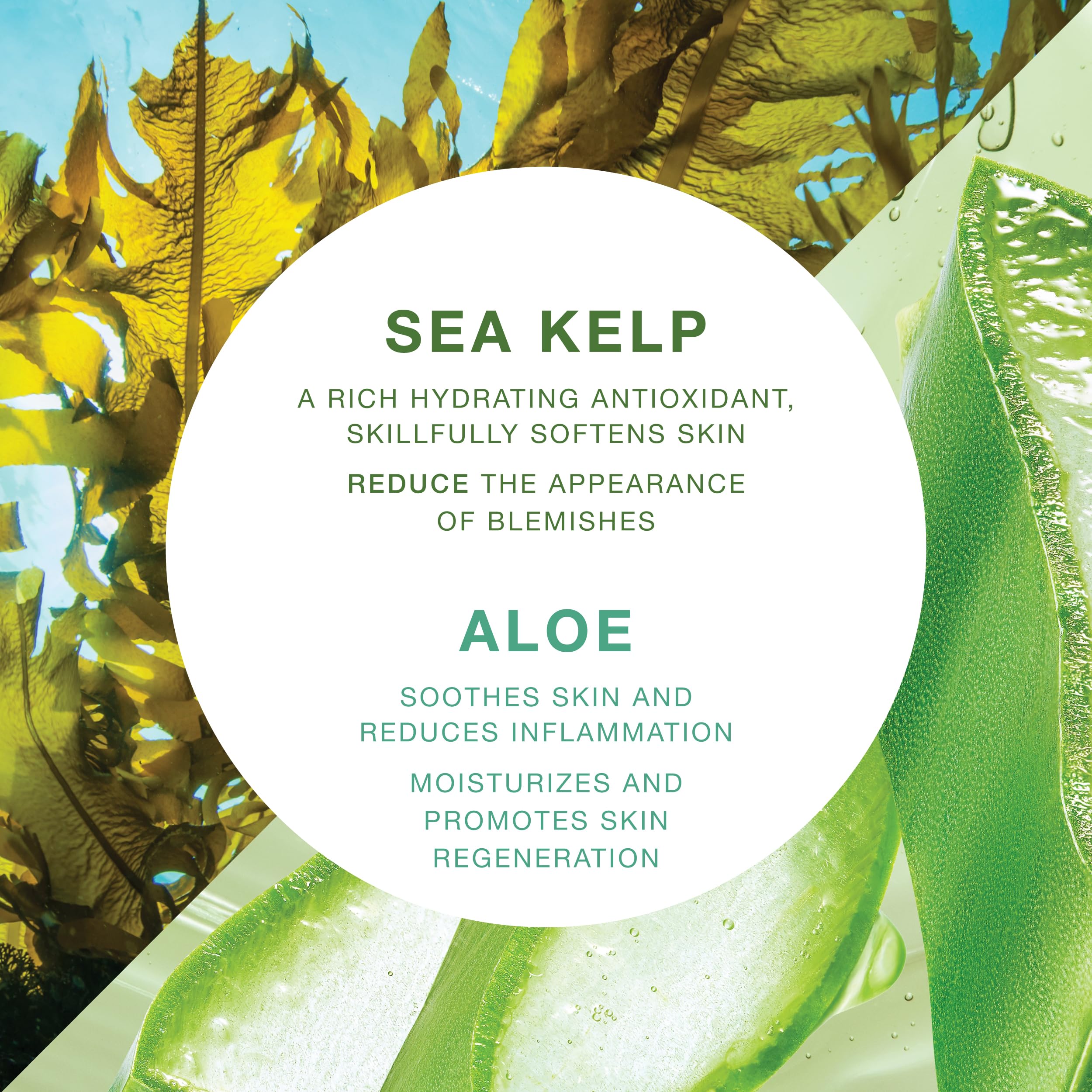 Vitamins And Sea Beauty - Body Wash Shower Gel with Sea Kelp & Aloe Vera. Sapone per il corpo liquido idratante e riparatore con alga marina e aloe vera, 1 l