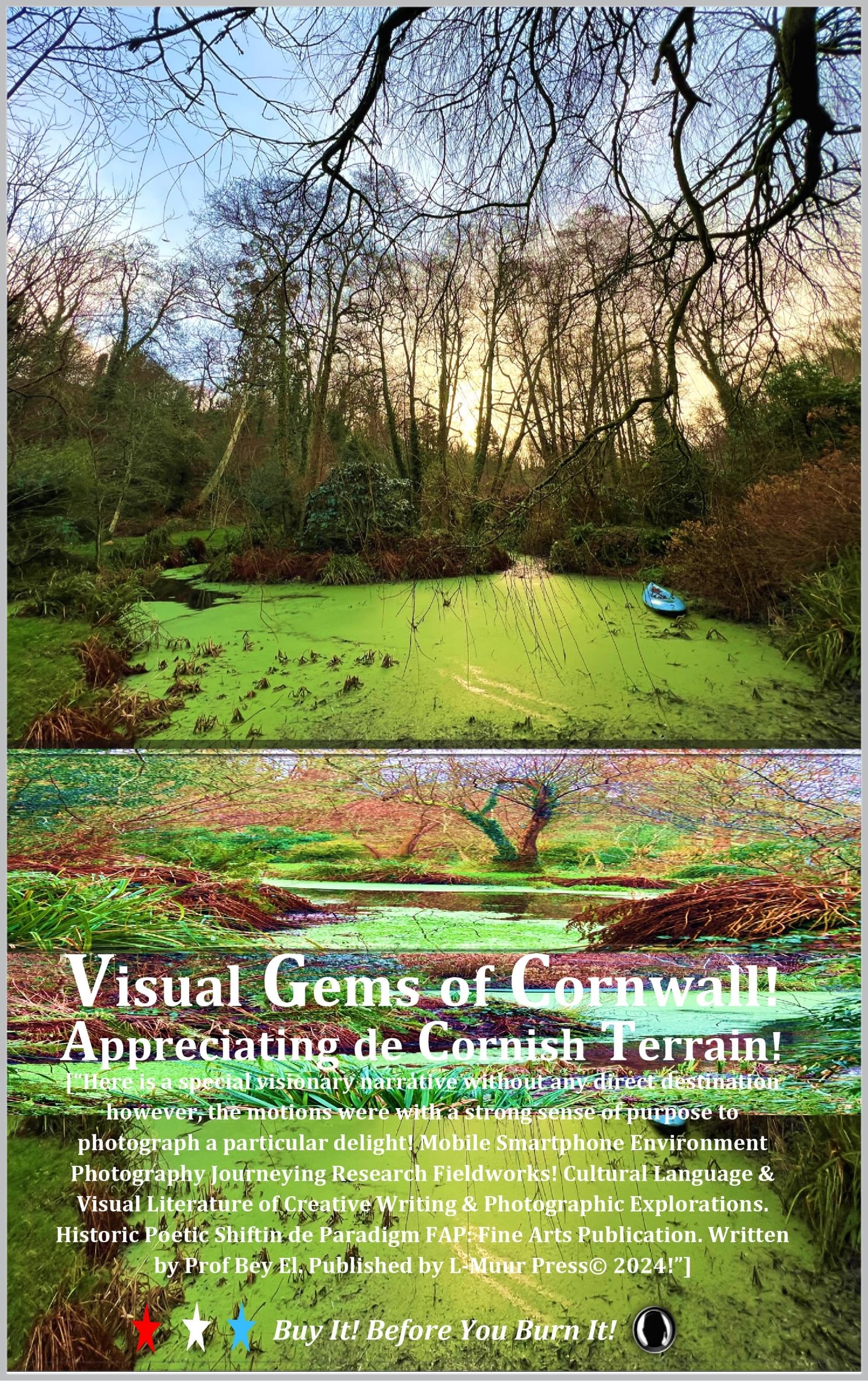 Cornwall England guide terrain cornique paysages Cornouailles anglais Kindle