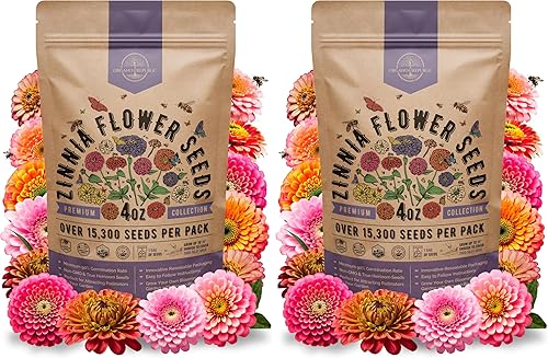 Miniatura 19 de Paquete de semillas de zinnia 1 oz - Más de 3,800 semillas criollas sin transgénicos para plantar, flores anuales en paquetes de semillas