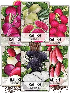 Seed Needs, Multicolor Radish Seed Packet Collection 6 Individual Varieties of Radish Seeds for Planting Non-GMO & Untreated