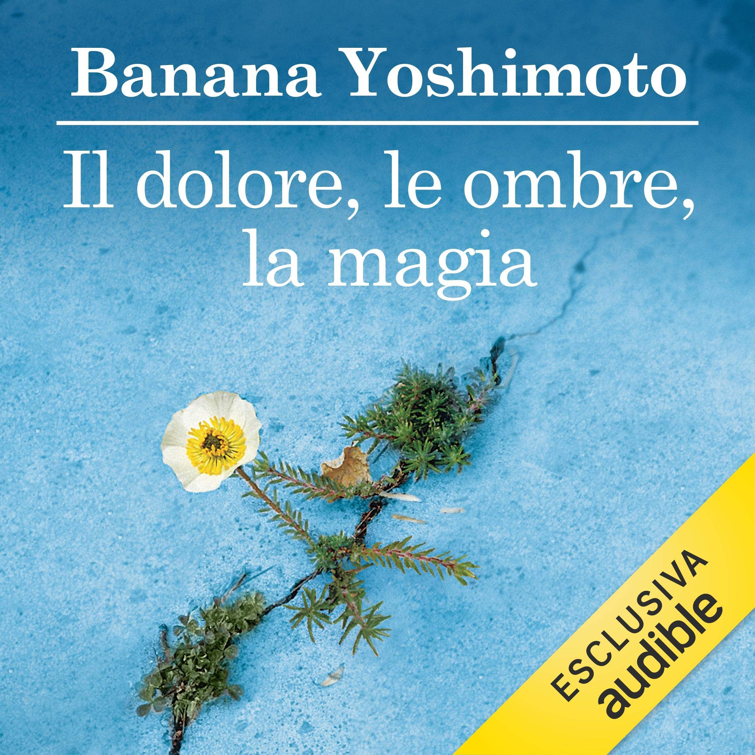 Cover art for Il dolore, le ombre, la magia