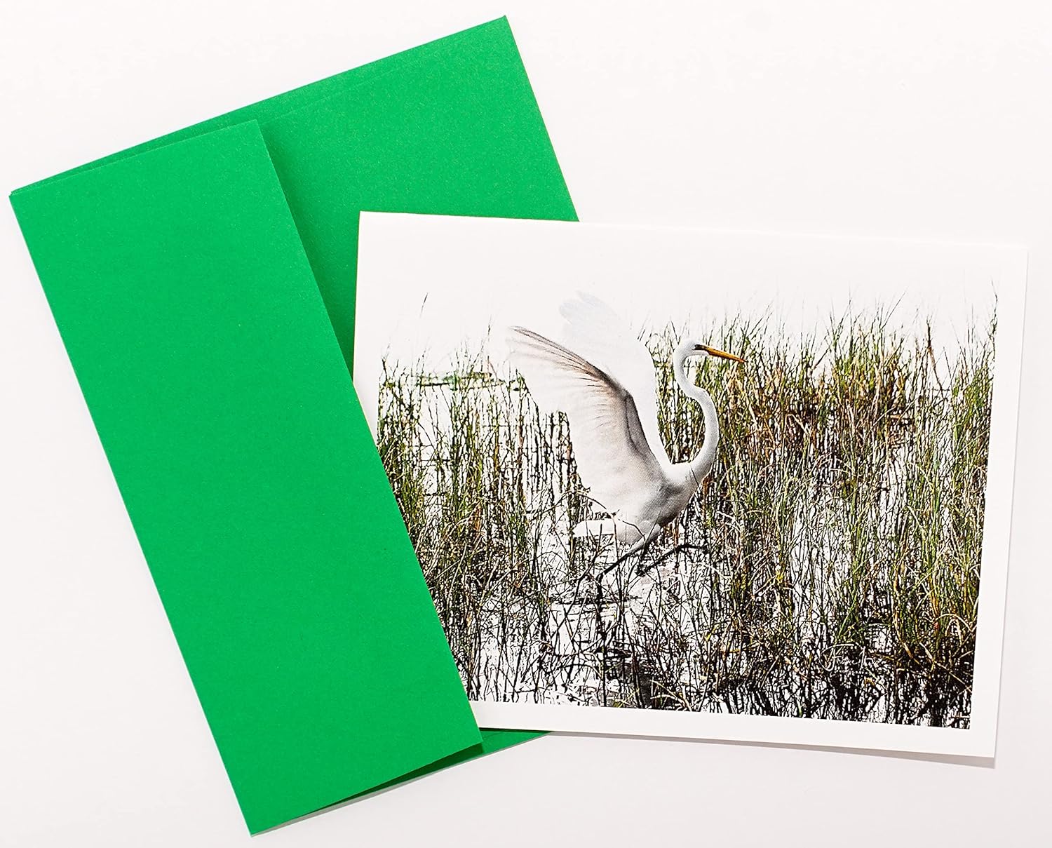 Bird Photography Smooth Note Cards 16 w/18 Colored Envelopes, Boxed Set (4.25"x 5.50") Blank Inside - Made in USA