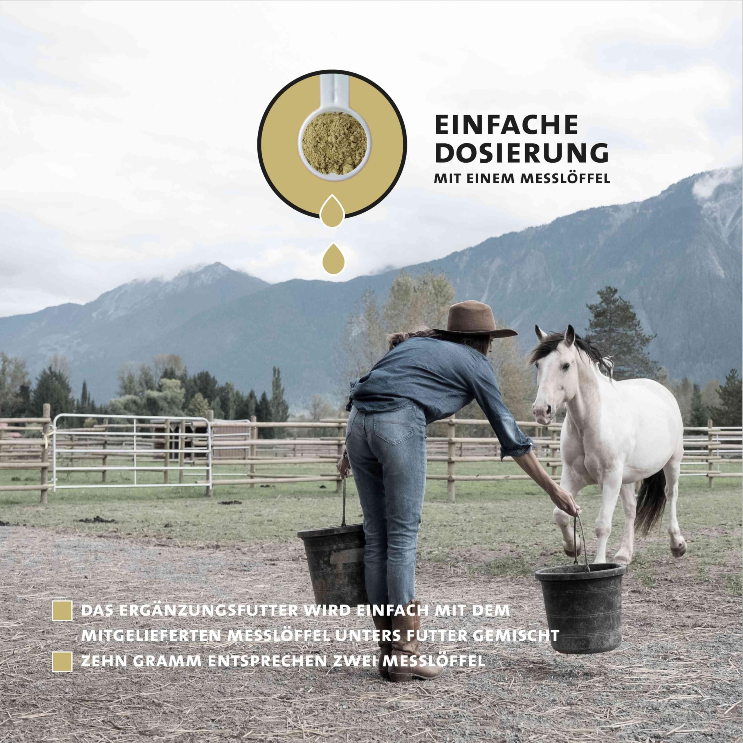 Peticare Bronchial und Husten-Mittel für Pferde | Unterstützt Atemwege & bei Erkältung, Schnupfen | Schleimlösend | Natürliche Kräuter-Formel | Hustensaft-Pulver | GMO-frei | petHorse Health 4609