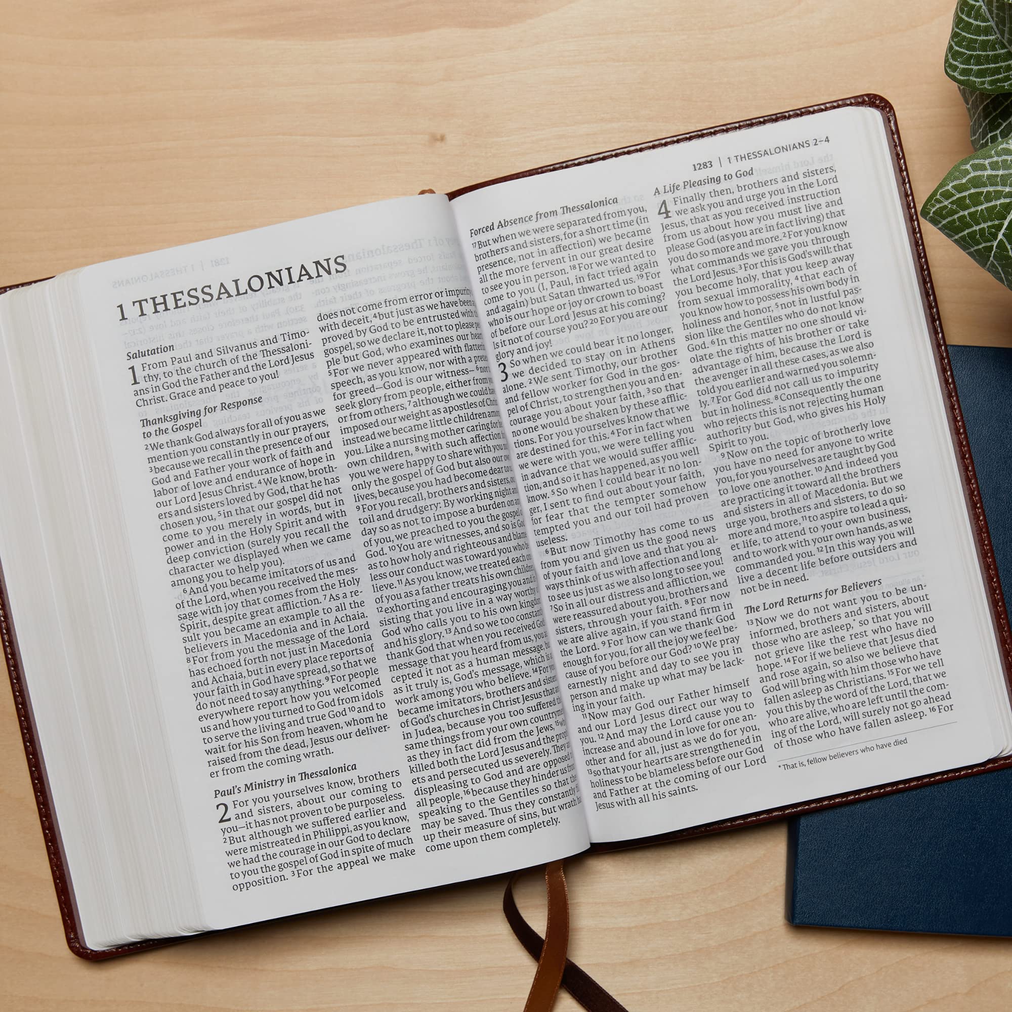 NET Bible, Thinline Art Edition, Large Print, Leathersoft, Blue, Comfort Print: Holy Bible - Image 9