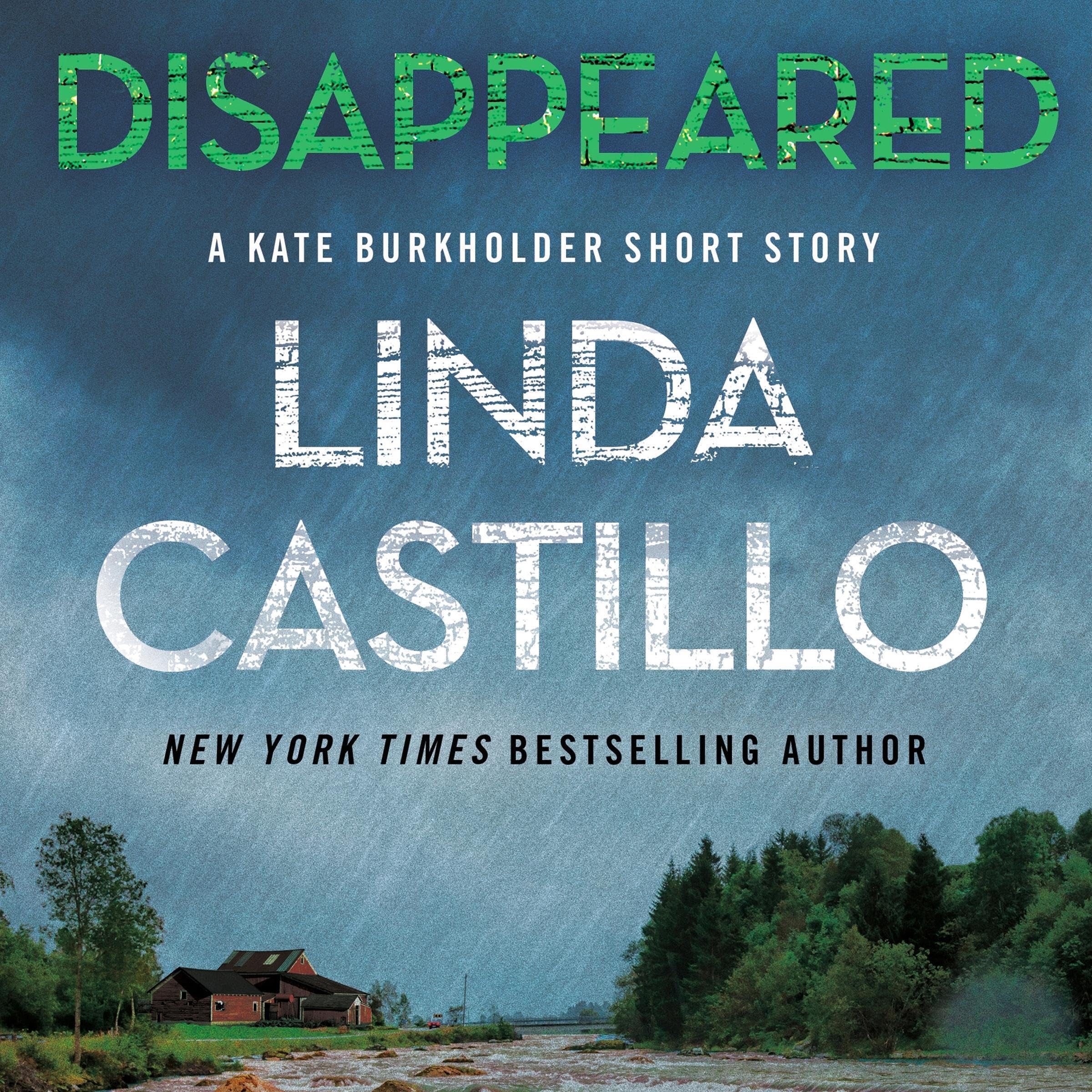 Cover art for Disappeared