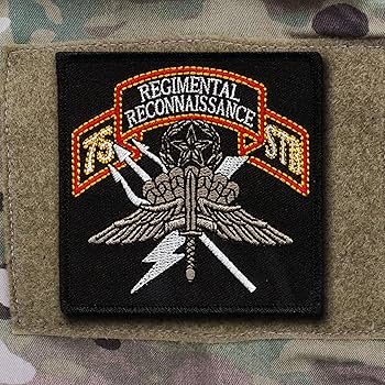 91WN-I-0A0L._UF350,350_QL80_.jpg