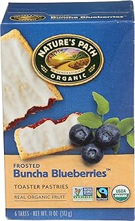 Nature's Path Organic Toaster Pastries Blueberry Frosted -- 11 oz