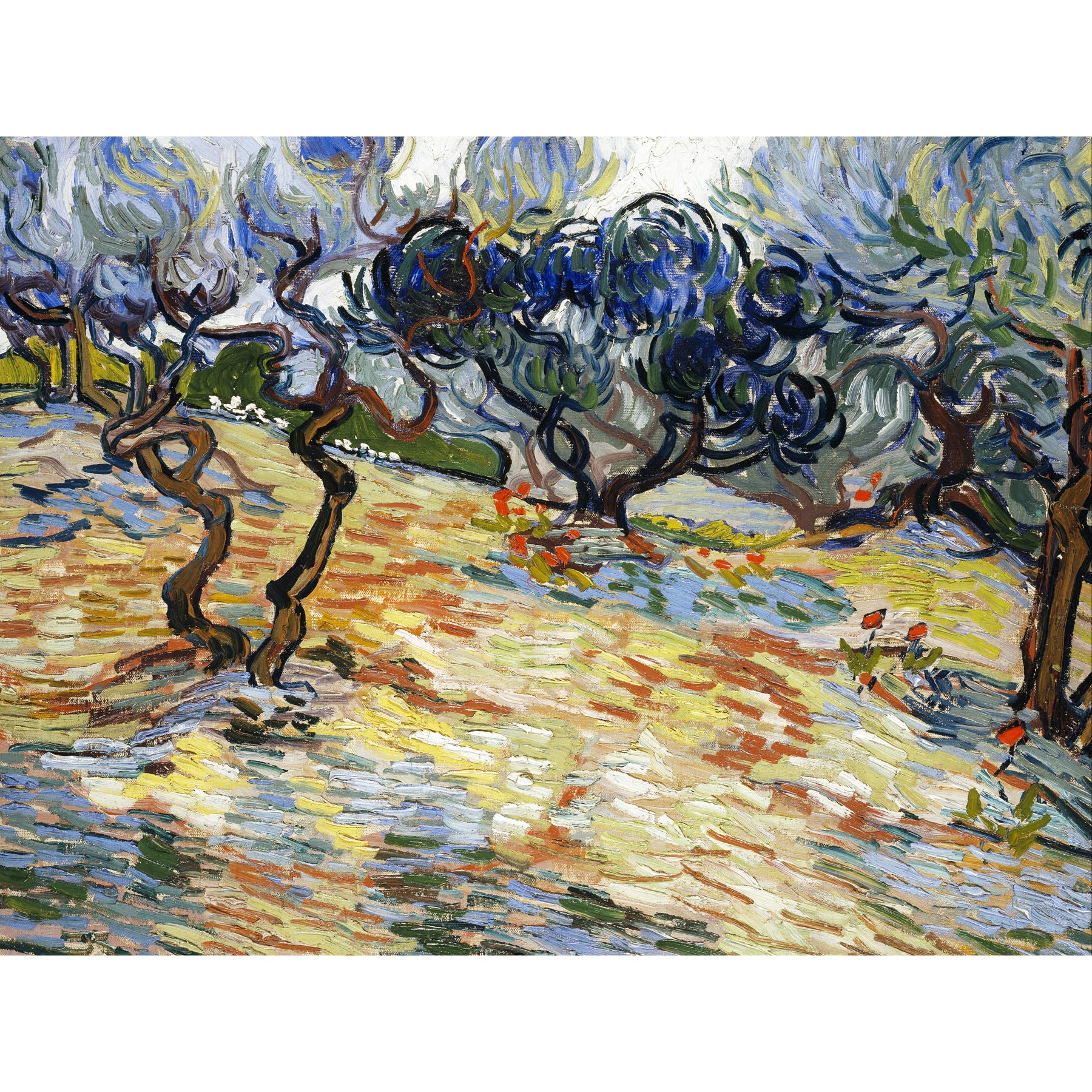Vincent Van Gogh Olive Trees Large Art Print Poster Wall Decor Premium Mural
