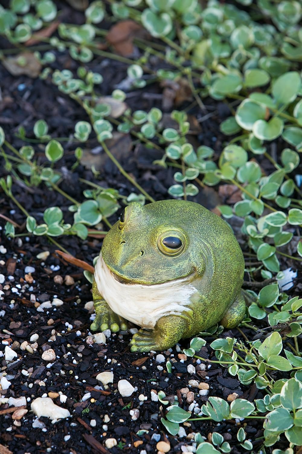 Evergreen Garden Cute Portly Frog 6" Tall Outdoor Statue and Secret Key Holder | Weatherproof and Outdoor Safe | Garden Sculpture | Porch Garage or Patio Home Decor