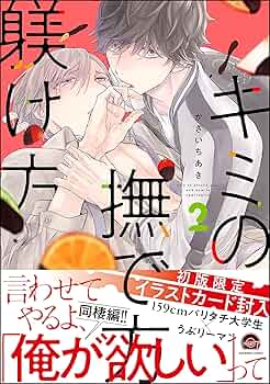 かさいちあき　21冊セット　キミの撫で方躾け方　他 コミック】キミの撫で方躾け方 | アニメイト