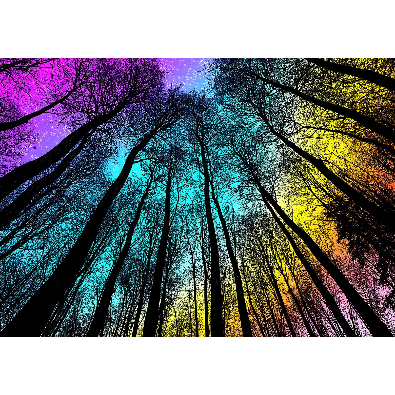 Blueforest 1000 Piece Puzzle for Adults - Starry Night Forest Gradient Magic Landscape | Challenging Wall Art Jigsaw with Poster, 27.5x19.7 Inch