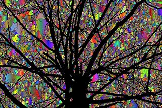 Bgraamiens Puzzle-Rainbow Tree-1000 Pieces Square Puzzle Color Challenge Jigsaw Puzzles for Adults and Kids