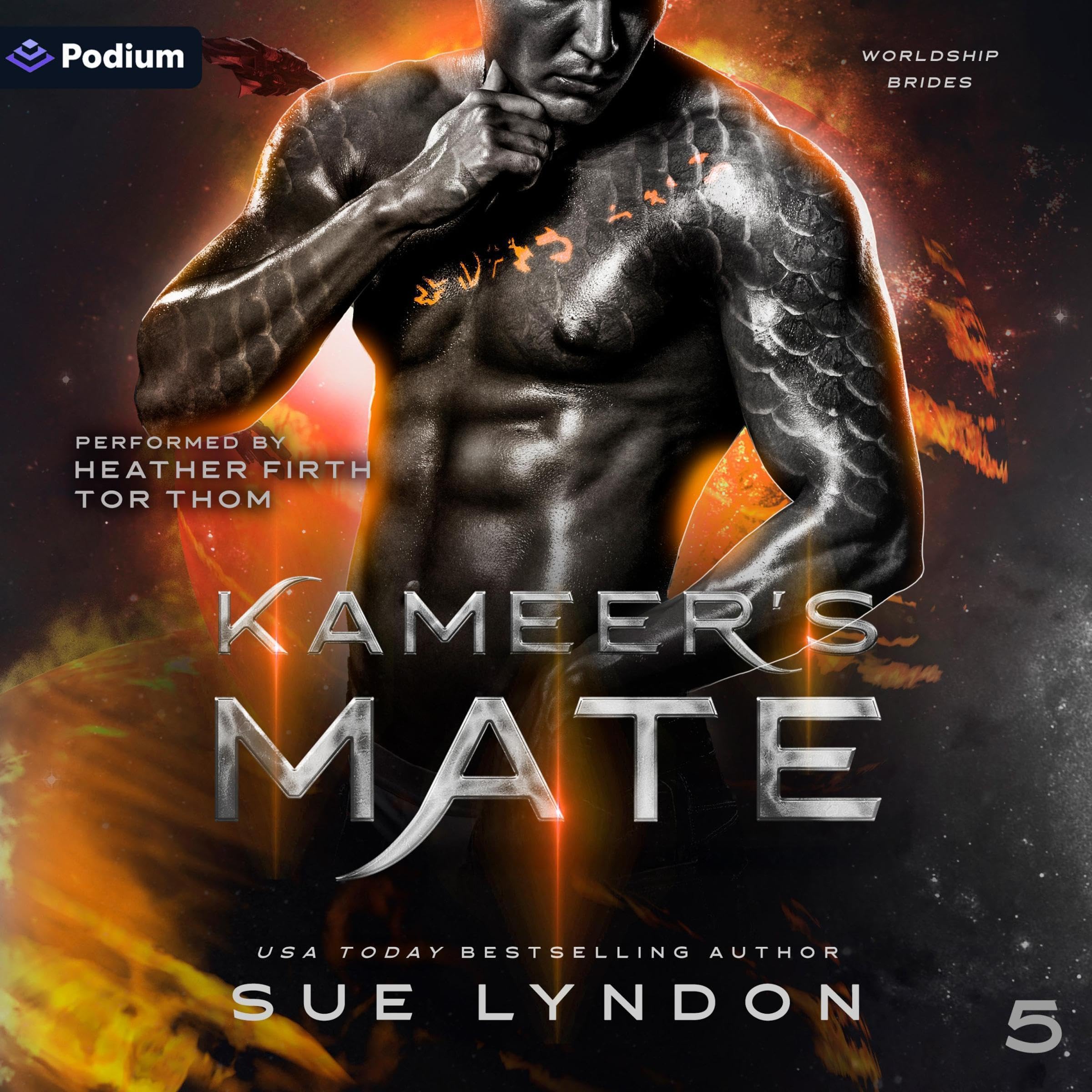 Cover art for Kameer's Mate