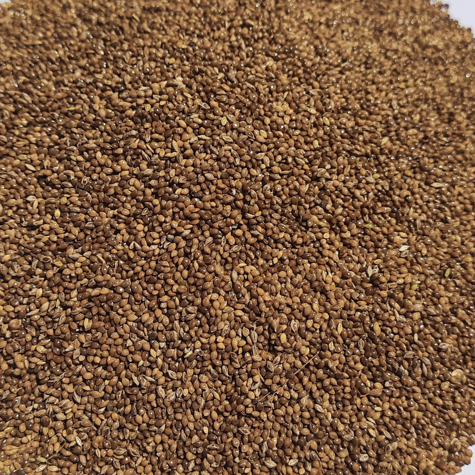 Little Millets (Samai) (????????????) For All Kind Of Bird Feeding Food In Home. Parrots,Finches And Love Birds.Etc (500 Gram), All Life Stages (B0BWY1VQ32) Amazon Price History, Amazon Price Tracker