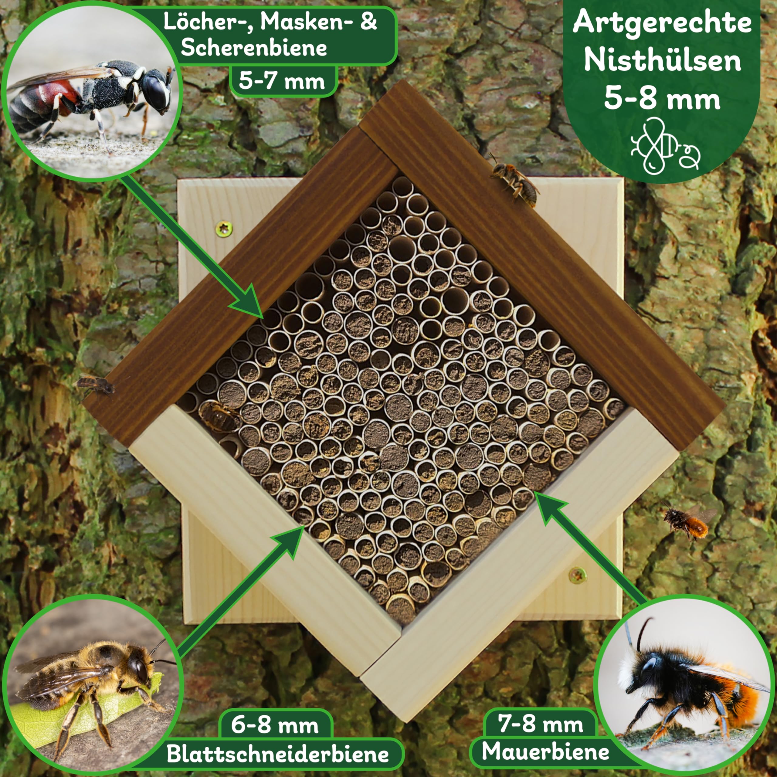 Nesthulzen voor insectenhotel, 15 cm lang, diameter 6 en 8 mm, gemengd incl. e-book nestbuizen en kartonnen buisjes voor wilde bijen (kartonnen buisjes, 300
