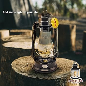 Amazon.com: Light of Mine - Dietz #80 Blizzard Oil Lantern