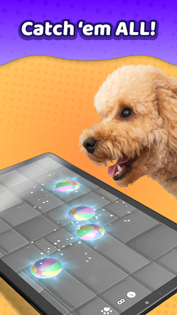 Laser Pointer－Games for Dogs App on Amazon Appstore