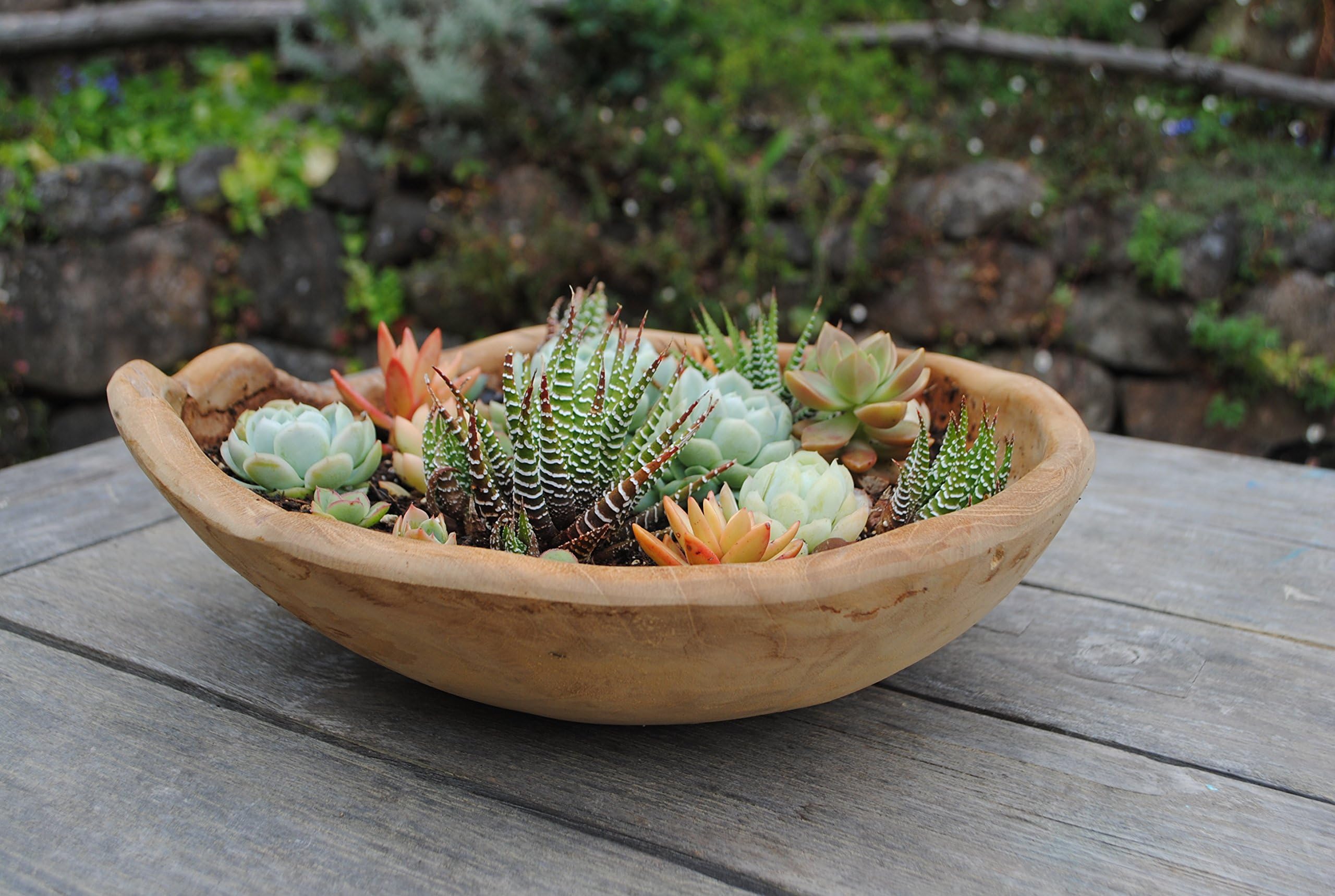 Natural Teak Root Wood Bowl, Planter, Fruit & Vegetable Decorative Bowl