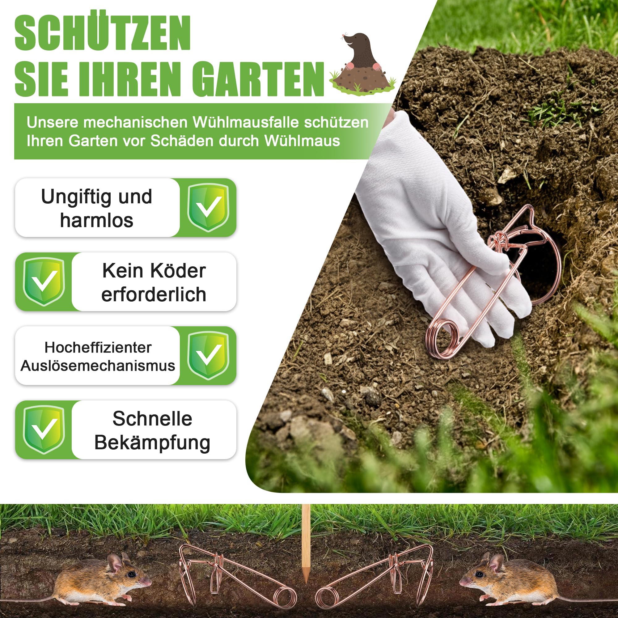 Enhon 8 Pièces Professionnel pour Campagnols Et Taupes, Pièges pour Campagnols en Fil d'acier Cuivré, sans Poison - Aucun Appât Nécessaire, Efficace Contre Les Et Les Taupes dans Le Jardin