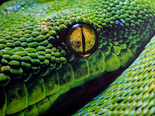 Miniatura 2 de Archivo de arte fino liso de 11 x 17 pulgadas, color blanco brillante, doble cara, 25 hojas