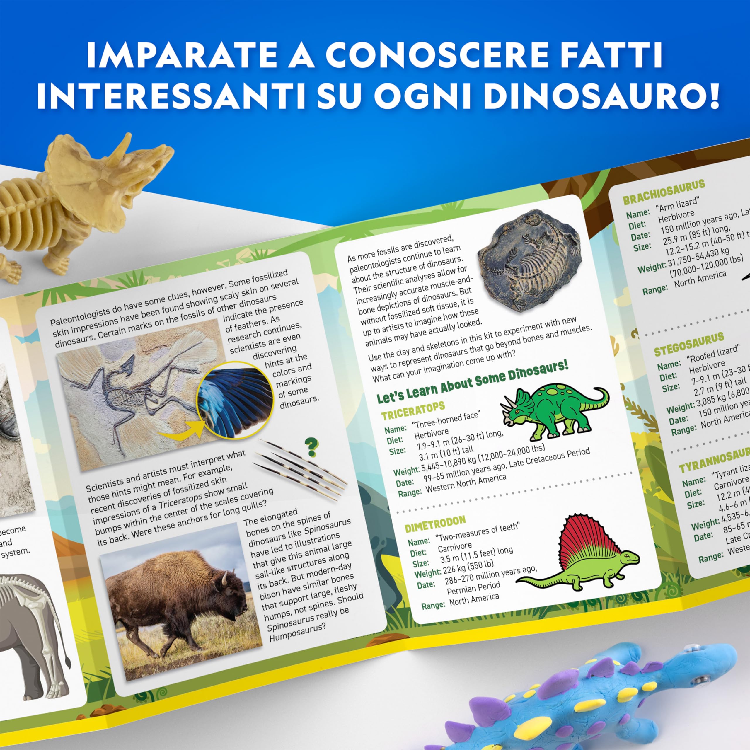NATIONAL GEOGRAPHIC Kit Creativo Dinosauri con Argilla – 5 Dinosauri da Modellare con Argilla che Asciuga all’Aria, Scheletri, Strumento e Occhi Mobili