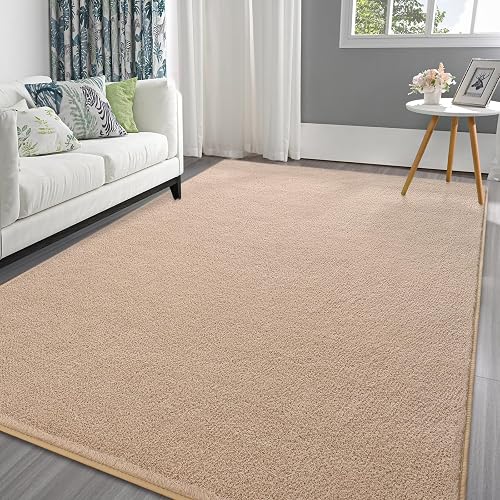 Pettop 4x6 ft Dark Grey Area Rugs for Bedroom Living Room, Washable Memory Foam Indoor Carpet, Modern Minimalist