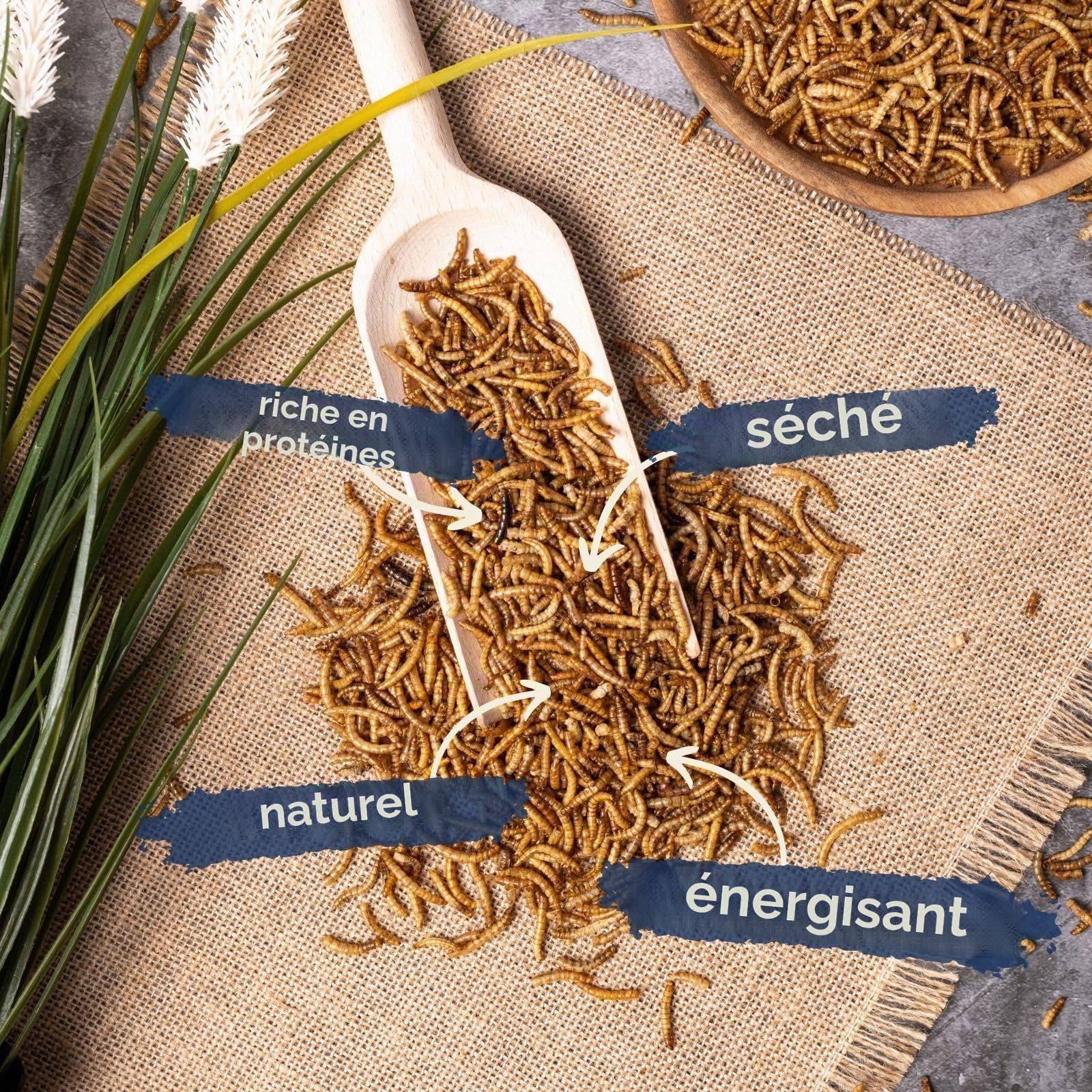 Lyra Pet® 3 kg de vers de Farine séchés | Nourriture Riche en protéines | pour Oiseaux Sauvages, rongeurs, Reptiles & Poissons | Source d'énergie pour Insectivores | Vitamines & minéraux