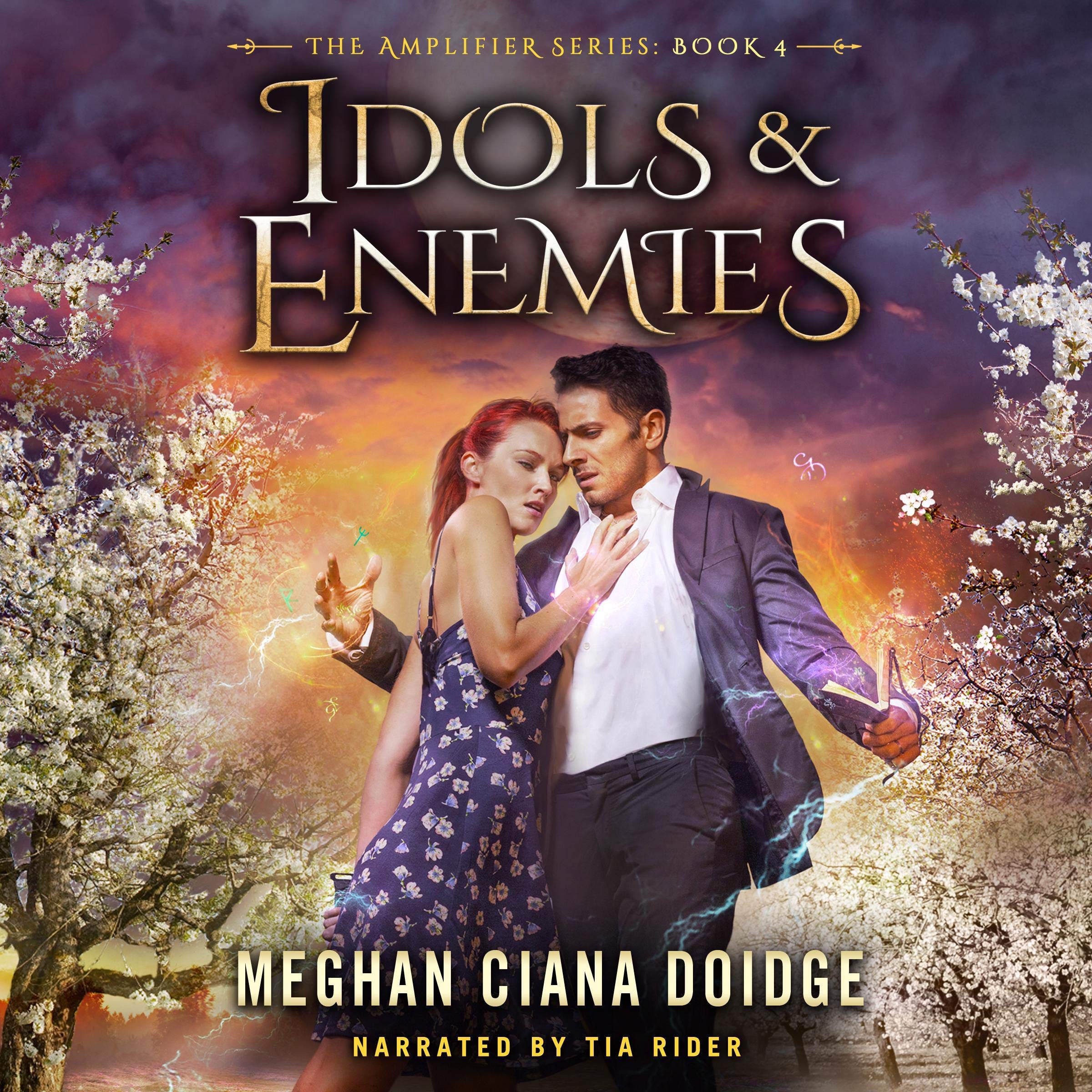 Cover art for Idols and Enemies