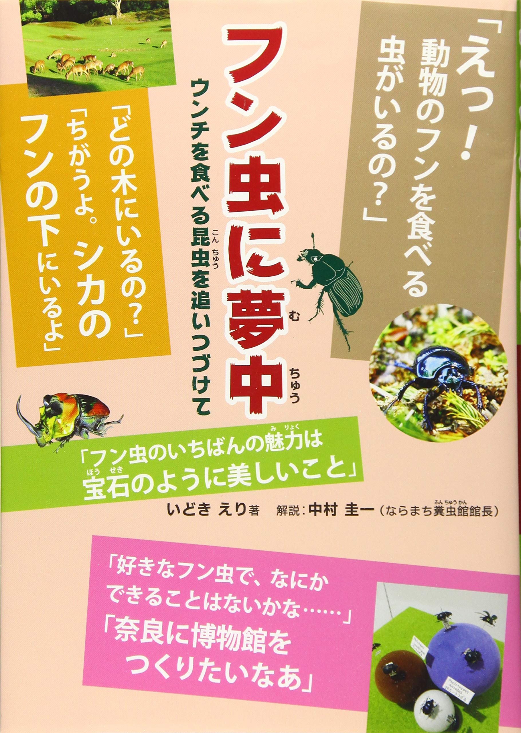 フン虫に夢中 ウンチを食べる昆虫を追いつづけて いどきえり 中村圭一 本 通販 Amazon