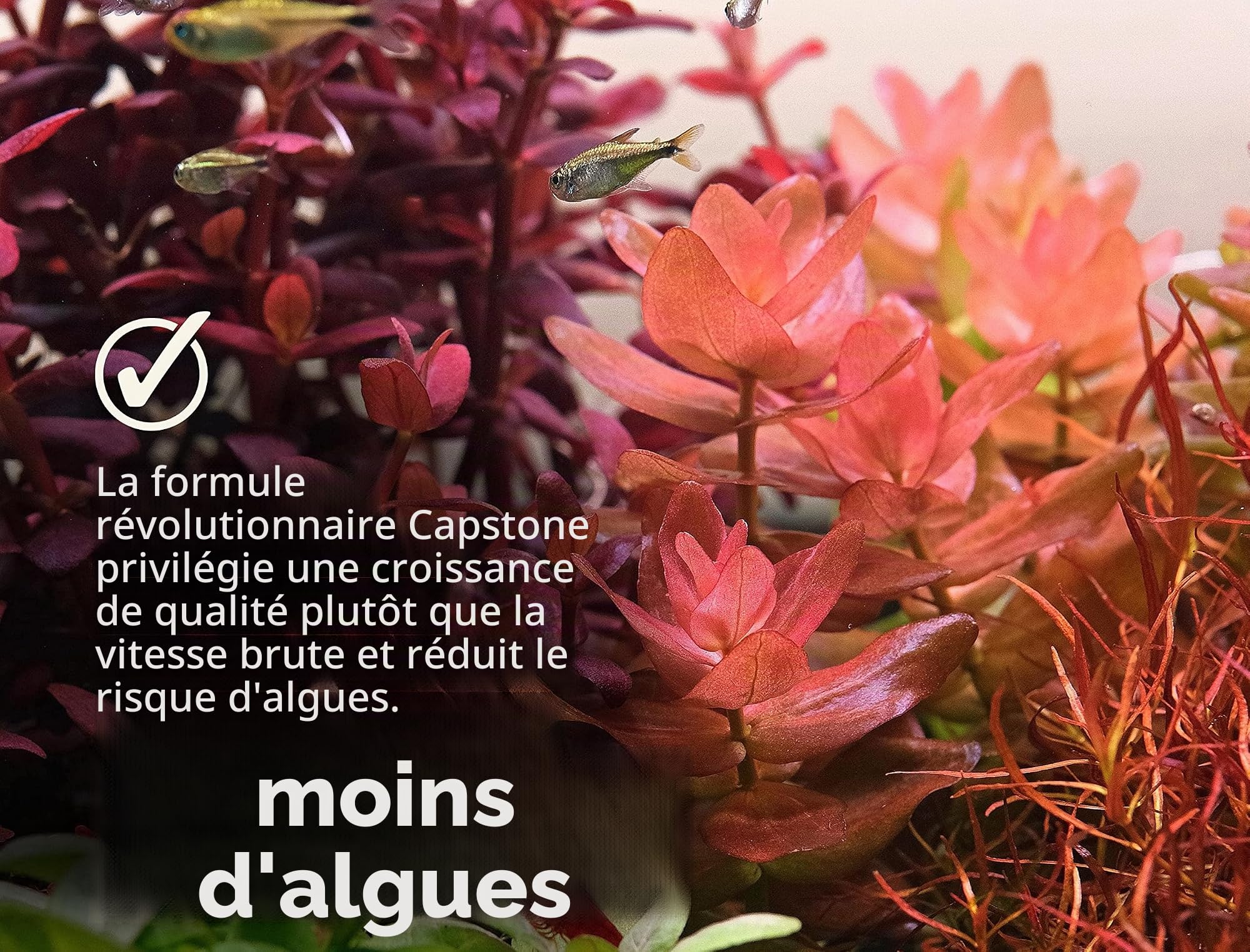 2Hr Aquarist Engrais liquide aquarium all in one APT E/Estimative Index in a bottle (1000ml)