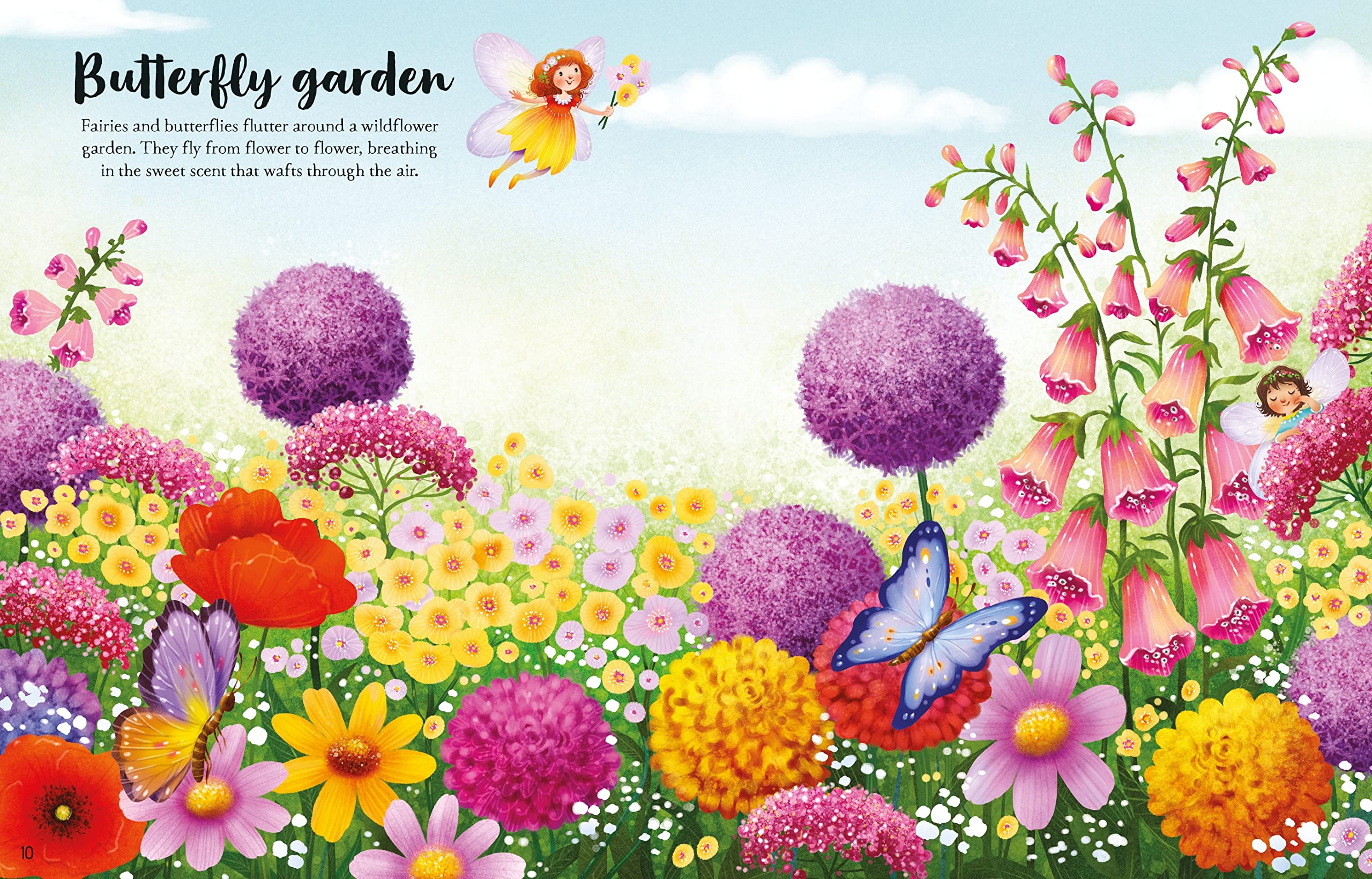 Fairies, Pixies and Elves Sticker Book (Sticker Books)