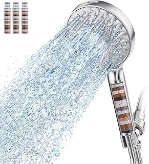 Filtered Shower Head with Handheld