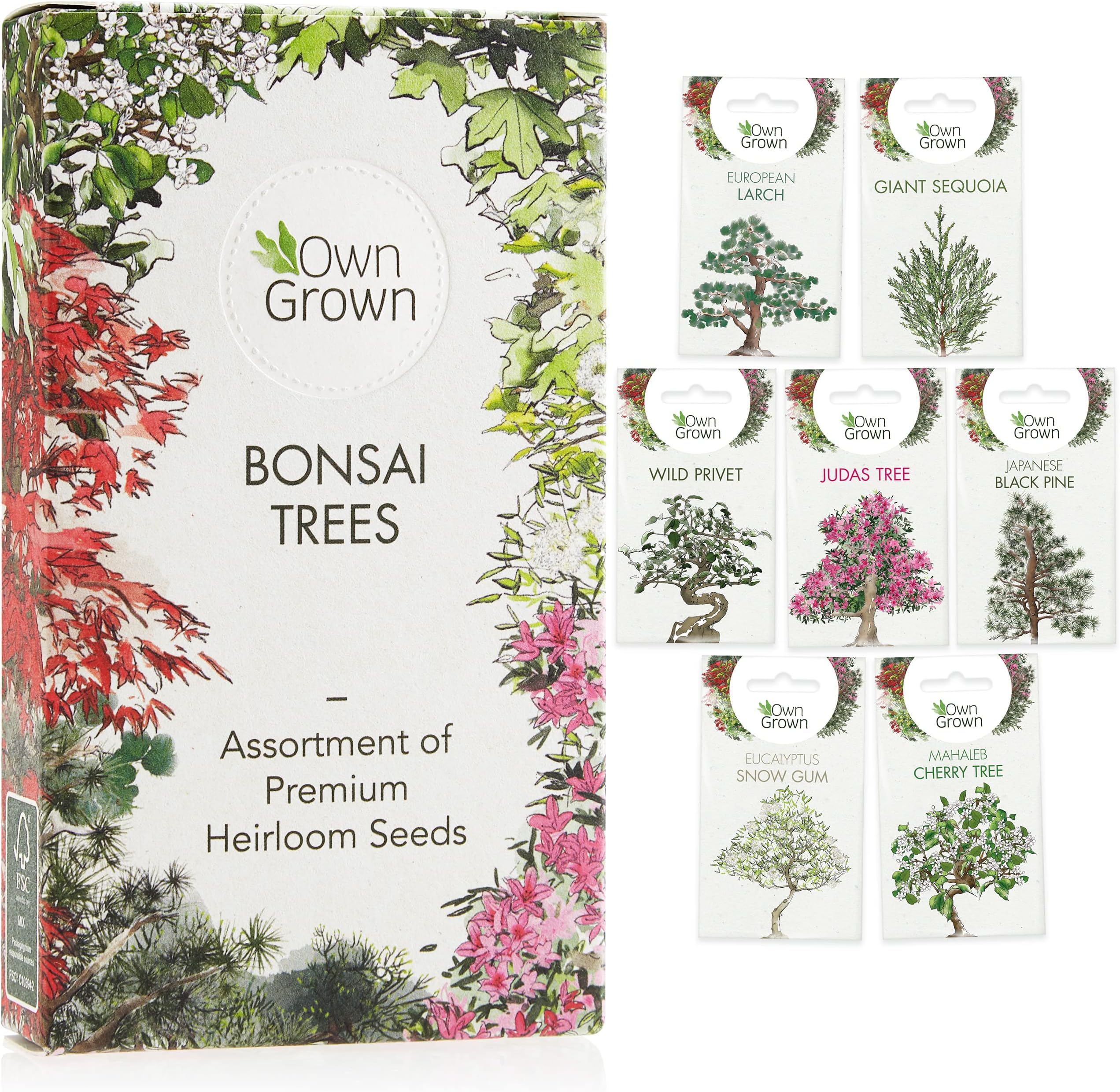 Bonsai Seeds Set