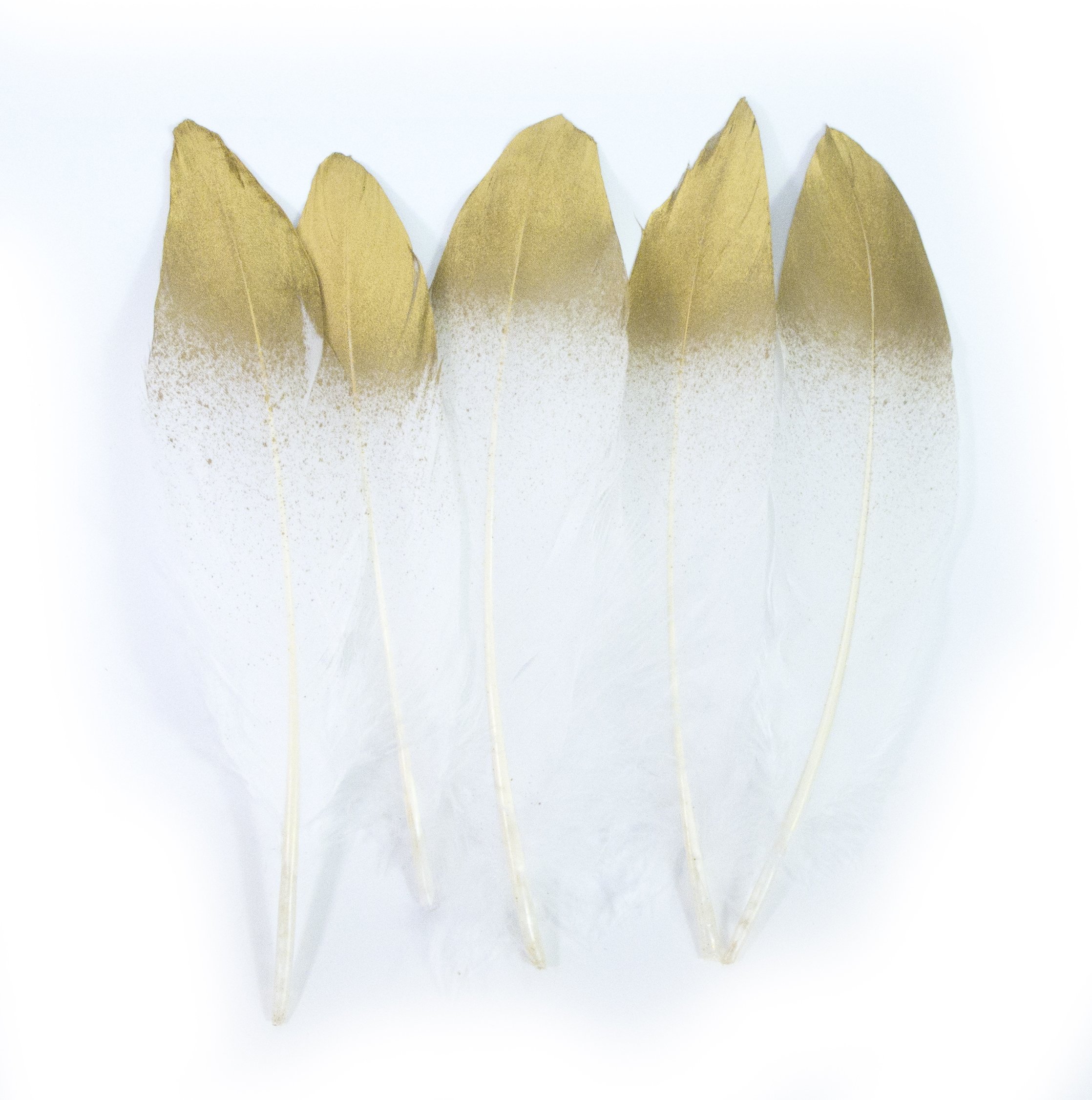 20pcs Natural Feather for DIY Craft (White Gold Dipped Feathers)