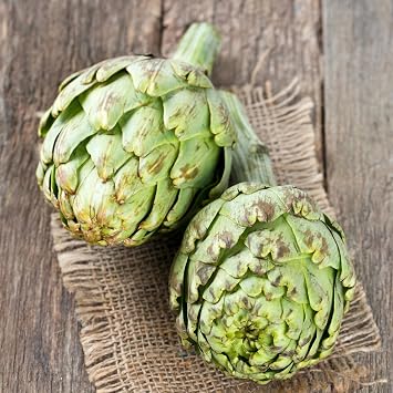 PREMIER SEEDS DIRECT - Artichoke Italian   Green Globe - 100 Finest Seeds